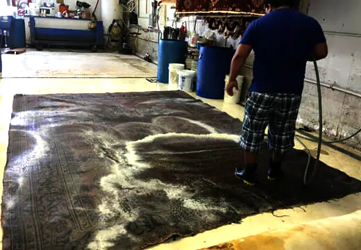 Cleaning Area Rugs Service